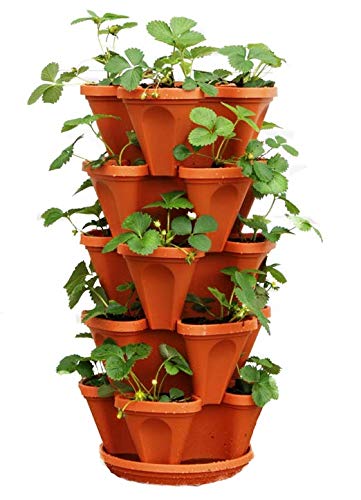 5-Tier Strawberry Pyramid Planter Garden, 5 Pots