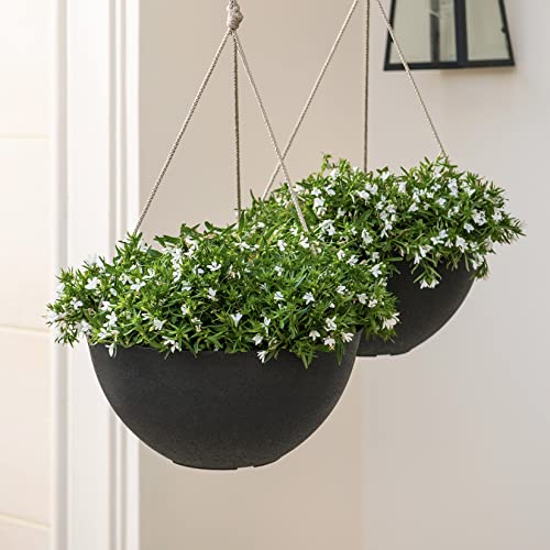 Large Hanging Planters for Outdoor/Indoor Plants - 2 Pack, 13.2" W