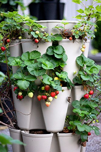 Large 5 Tier Vertical Garden Planter