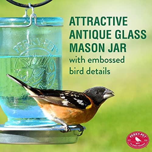 Perky-Pet 1 Mason Jar Wild Bird Waterer 783, Blue