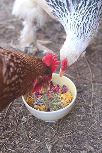 Pampered Chicken Mama Nesting Herbs - All-Natural 10 oz Feed Supplement for Great Eggs and Healthy Hens