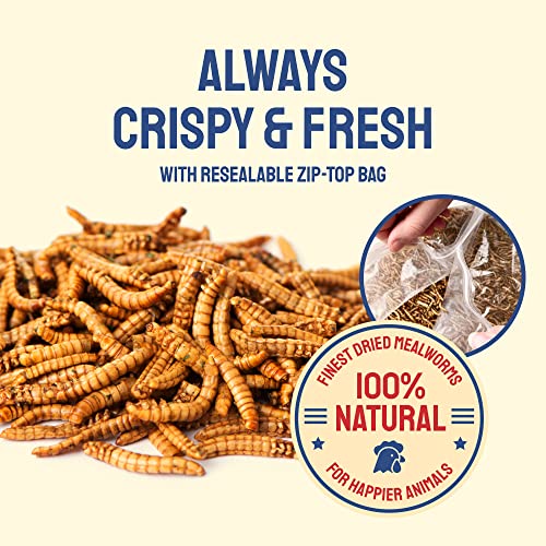 Hatortempt 5lb Non-GMO Dried Mealworms for Birds, Chickens, Fish & Reptiles