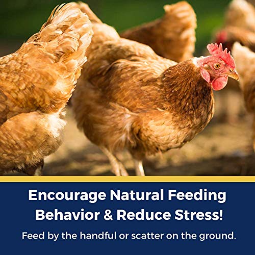 Pampered Chicken Mama Nesting Herbs - All-Natural 10 oz Feed Supplement for Great Eggs and Healthy Hens