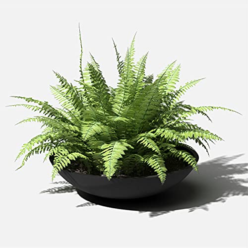 Round Bowl Outdoor Planter - Lane 8" H x 32" W