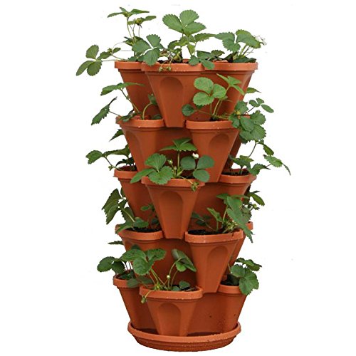 5-Tier Strawberry Pyramid Planter Garden, 5 Pots