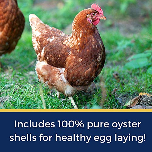 Pampered Chicken Mama Nesting Herbs - All-Natural 10 oz Feed Supplement for Great Eggs and Healthy Hens