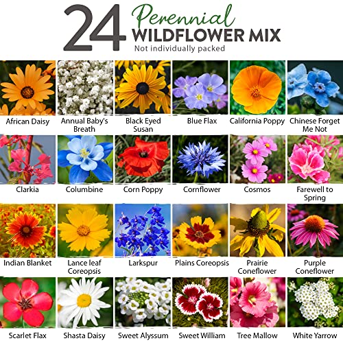 Perennial Wildflower Seed Mix - 90K+ Seeds - Attracts Bees, Birds & Butterflies - 24 Varieties - 3oz Pack - Outdoor Planting